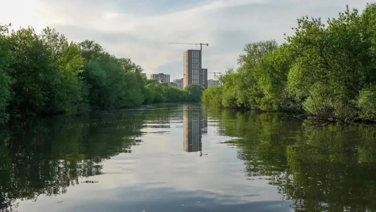 Зеленый участок реки в Туле